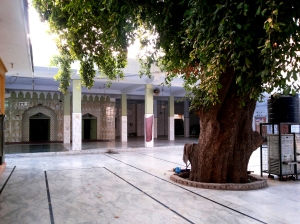 Chiragh Delhi Mosque